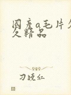 国产a毛片久久久精品