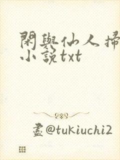 闲与仙人扫落花小说txt