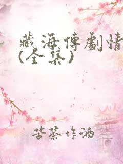 藏海传剧情介绍(全集)