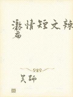 激情短文辣文两篇