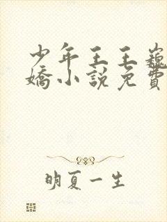 少年王王巍李娇娇小说免费阅读完整版在线