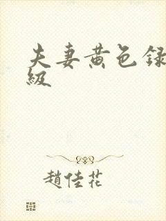 夫妻黄色录像一级