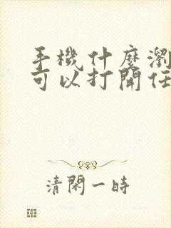 手机什么浏览器可以打开任何网站