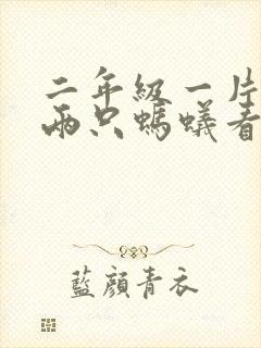 二年级一片树叶两只蚂蚁看图写话