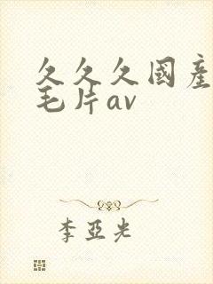 久久久国产精品毛片av