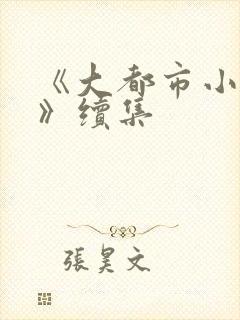 《大都市小爱情》续集