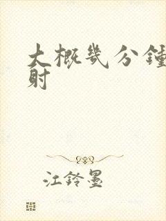 大概几分钟算早射