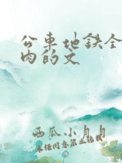 公车地铁全是肉肉的文