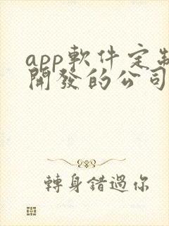 app软件定制开发的公司哪家好