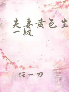 夫妻黄色生活片一级