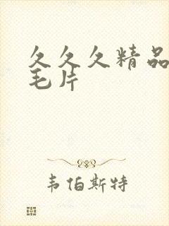 久久久精品一集毛片