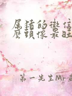 属猪的微信用什么头像最旺财