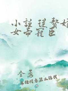 小说 从赘婿到女帝宠臣