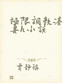 极限调教港女人妻h小说