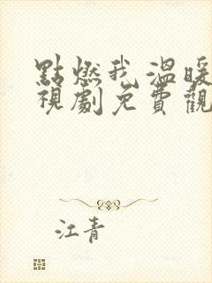 点燃我温暖你电视剧免费观看全集