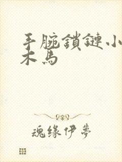 手腕锁链小黑屋木马