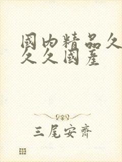 国内精品久久久久久国产