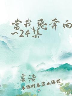 当我飞奔向你1~24集