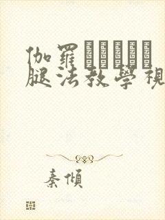 伽罗あちゃんが腿法教学视频
