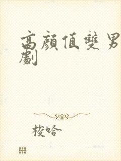 高颜值双男主日剧