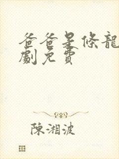 爸爸是条龙电视剧免费