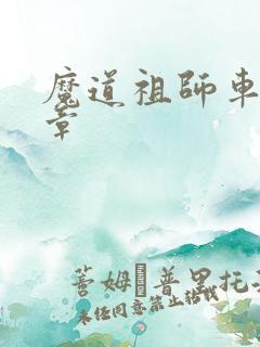 魔道祖师车第几章