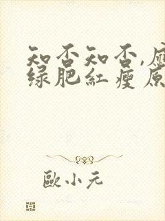 知否知否,应是绿肥红瘦原著小说