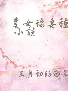 农女福妻种田记 小说