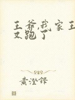 王爷,我家王妃又跑了