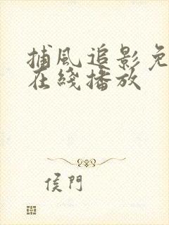 捕风追影免费版在线播放