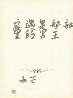 容遇是哪部小说里的男主