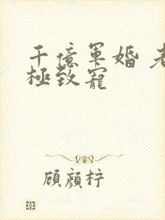 千亿军婚 老公极致宠