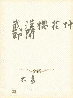 武汉樱花什么季节开