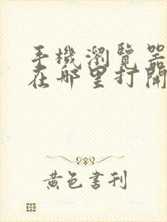 手机浏览器地址在哪里打开