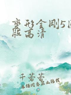 变形金刚5国语版高清