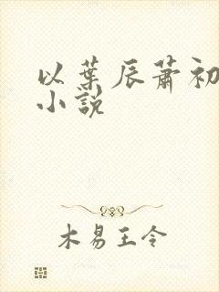 以叶辰萧初然的小说