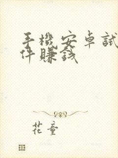 手机安卓试玩软件赚钱