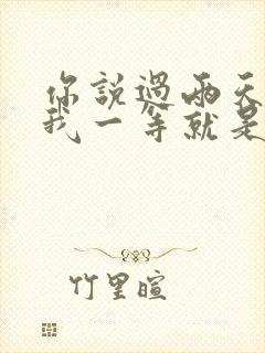 你说过两天来看我一等就是一年多是什么歌