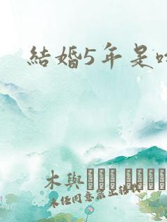 结婚5年是啥婚