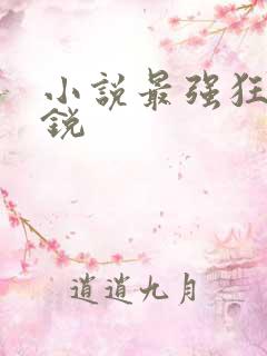 小说最强狂兵苏锐