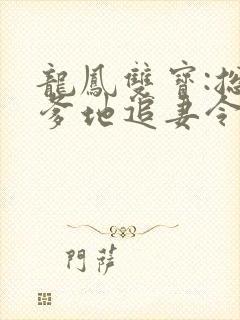 龙凤双宝:总裁爹地追妻令