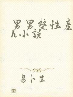 男男双性产子高h小说