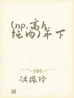 (np,高h,纯肉)年下