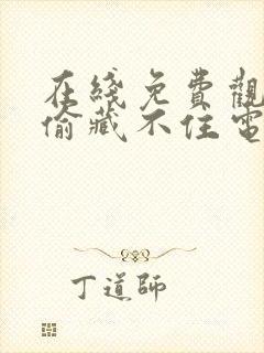 在线免费观看偷偷藏不住电视剧