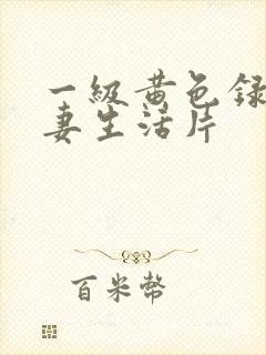 一级黄色录像夫妻生活片