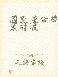 国民老公带回家叶非夜