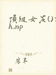顶级女友()高h,np