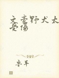 文豪野犬太宰治受伤