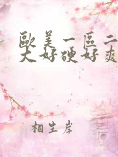 欧美一区二区好大好硬好爽