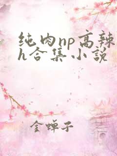 纯肉np高辣文h合集小说